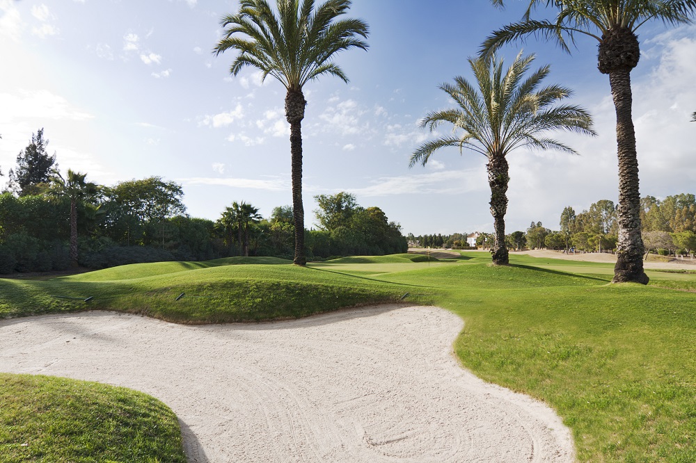 Bunker et palmiers entourant le green du Real golf club de Sevilla