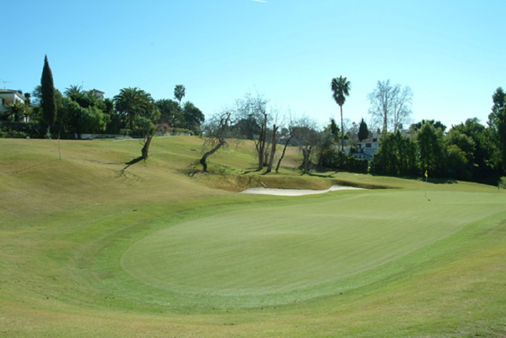 Large green du golf Guadalmina