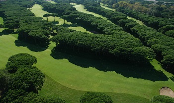 Vue aerienne fairway sur le parcours de Platja de Pals